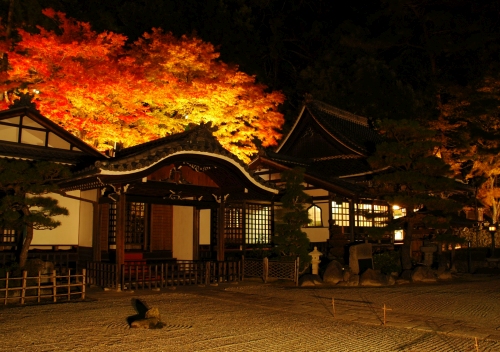 温泉寺周辺紅葉ライトアップ